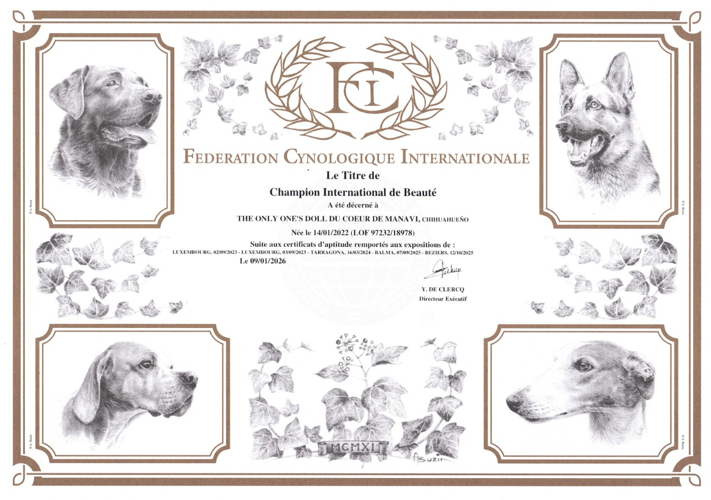 De La Plaine D'illiberis - NEW CHAMPION ! The Only One's Doll Coeur Manavi