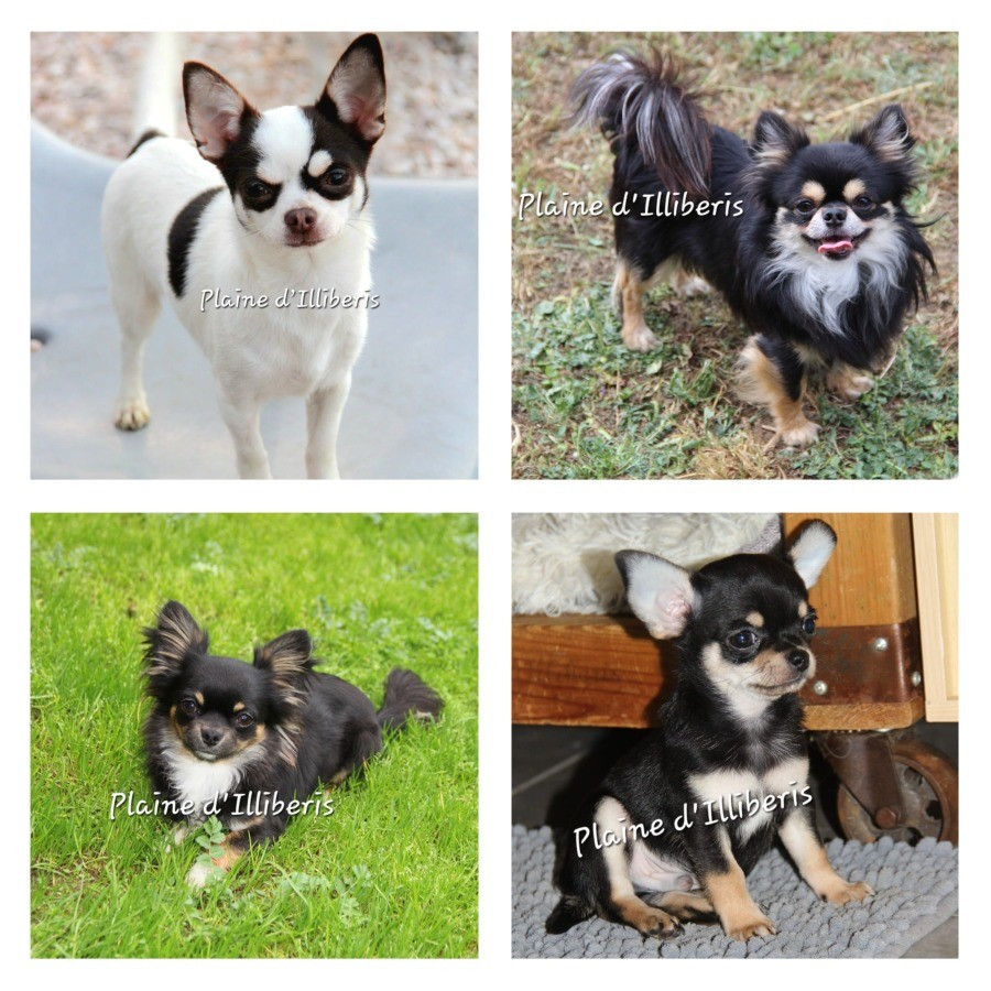 Retraités et Jeunes adultes